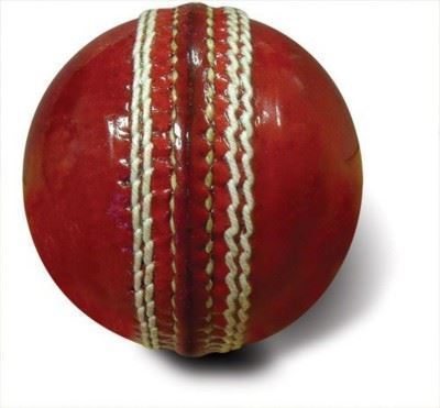 Cricket Ball Sports