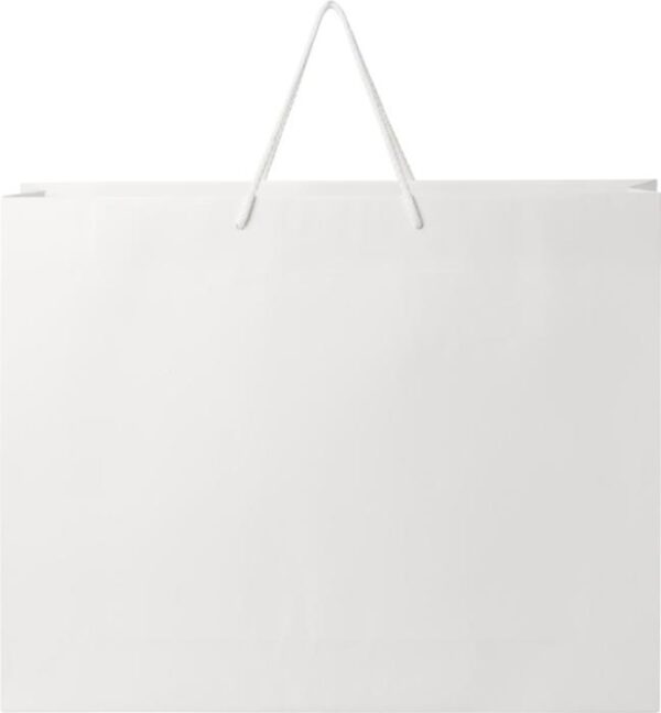 Large Paper Bag with Rope Handles Bags & Travel