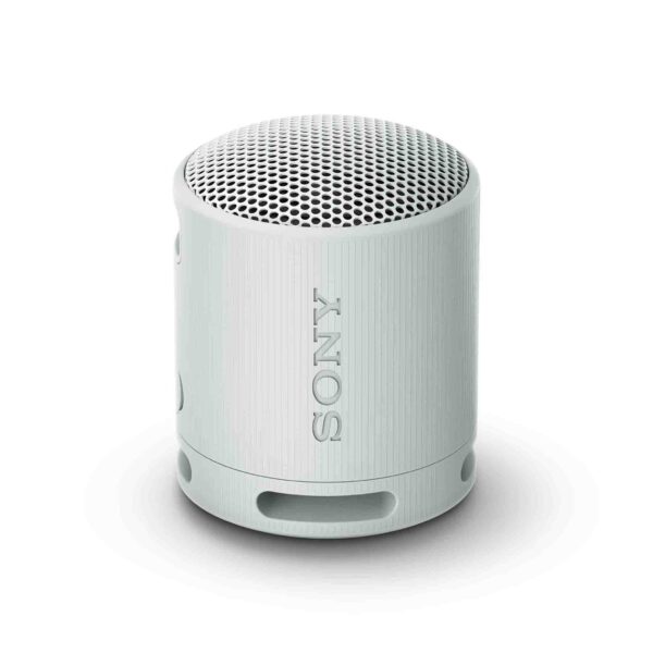 Sony Bluetooth Speaker - Grey