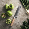 VINGA Hattasan Damascus Santoku knife - Home & Barware