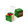 Eco Maxi Cube - Skittles - Sweets & Chocolate