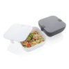 PP lunchbox square - Home & Barware