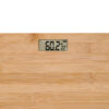 Grundig Bamboo Digital Body Scale - Technology