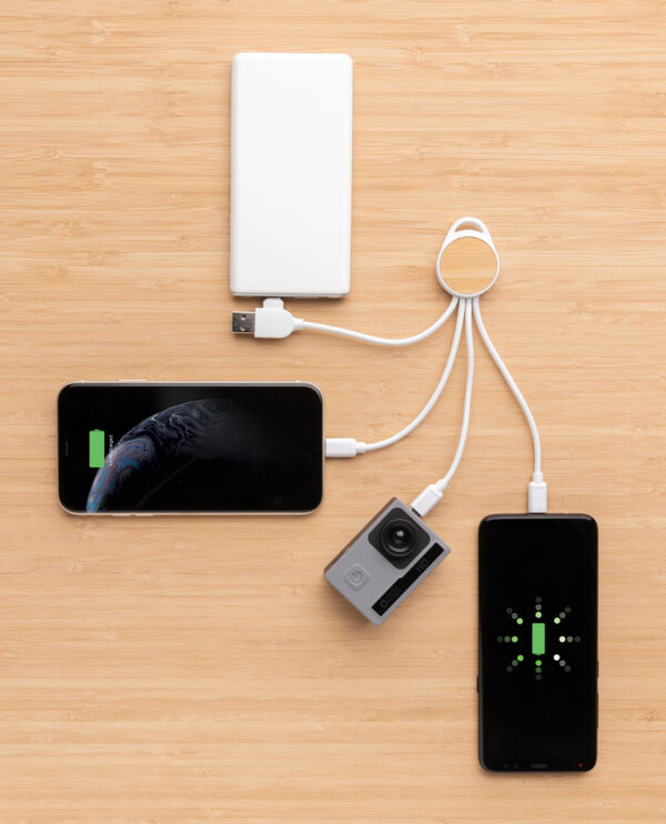 RCS recycled plastic Ontario 6-in-1 round cable - Chargers & Powerbanks