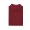 Iqoniq Yosemite recycled cotton pique polo - Burgundy