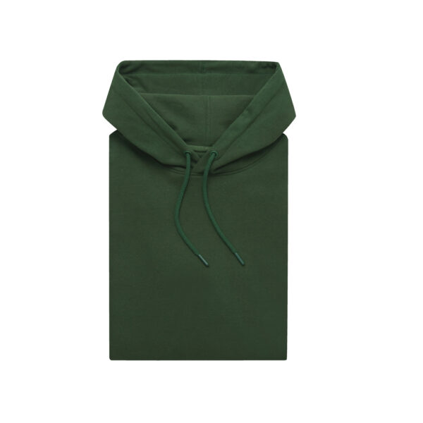 Iqoniq Jasper recycled cotton hoodie - Forest Green