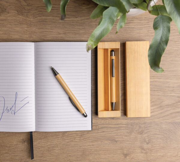 Bamboo modern pen set in box - Pens